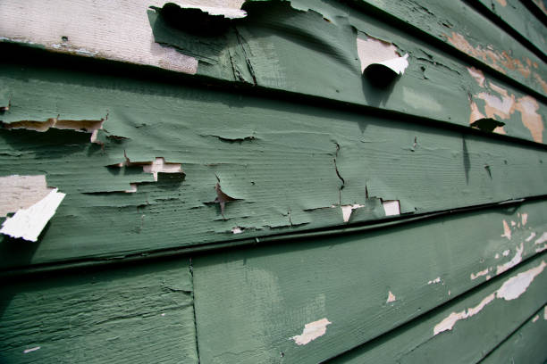 Best Demolition Debris Removal  in South Gate, CA